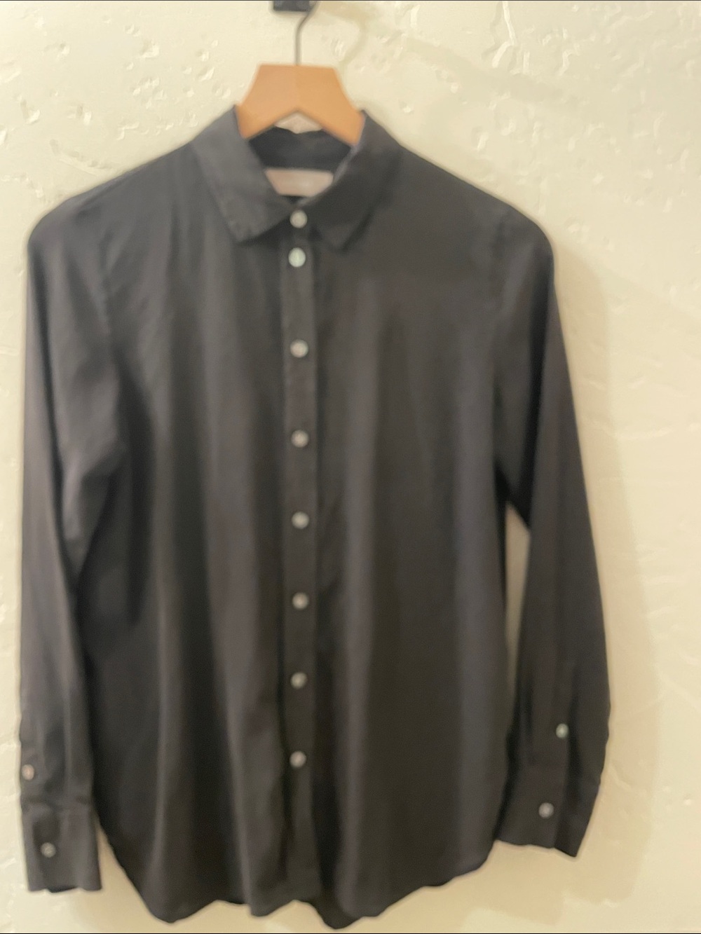 Everlane 100% Silk Long-Sleeve button down shirt | XS